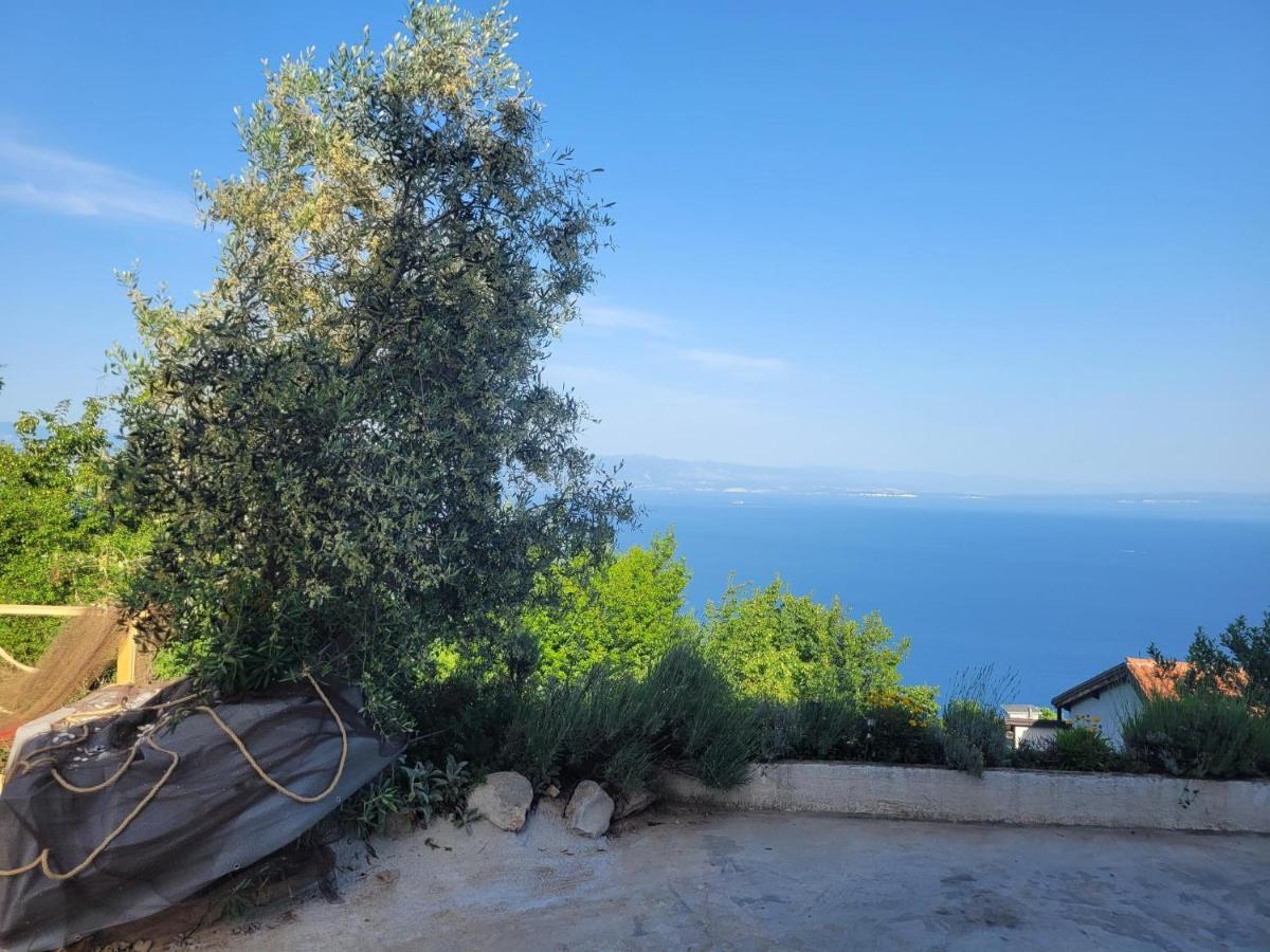 Ferienwohnung Mit Pool Kroatien Mit Meerblick Und Pool 洛夫兰 外观 照片